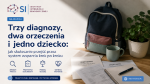 Instytutsi-pl-blog-diagnozy-dzieci-z-orzeczeniami-poradnik